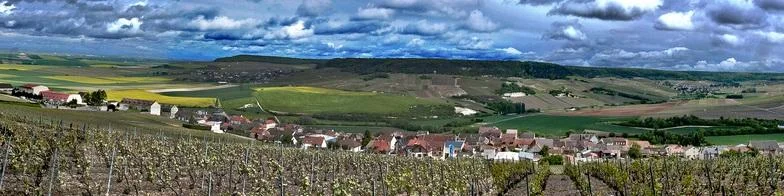 Bayahibe desde Tucumán