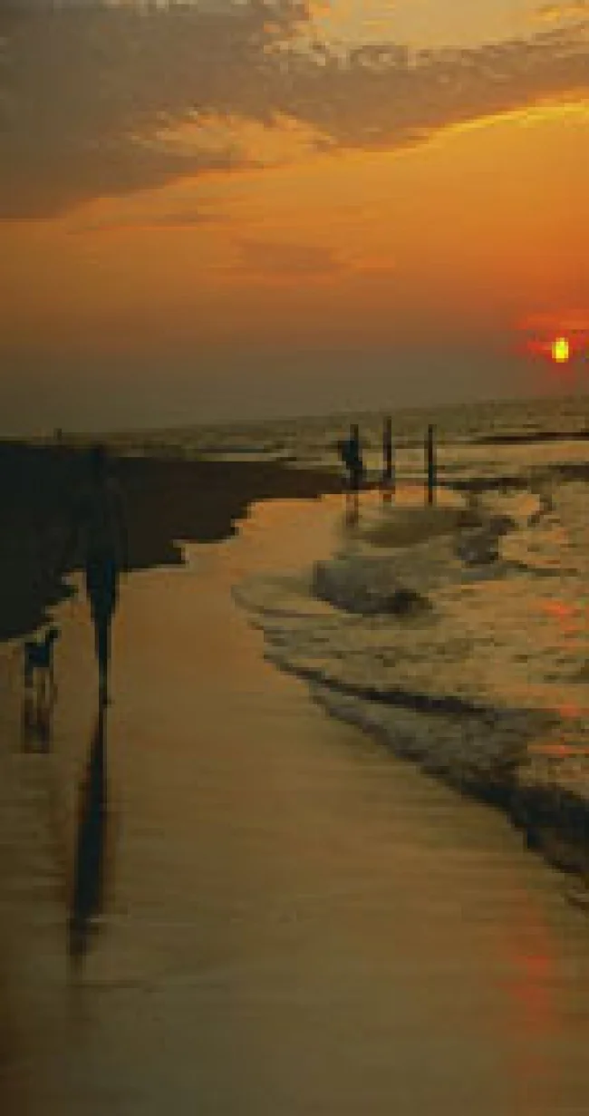 Punta Cana - República Dominicana