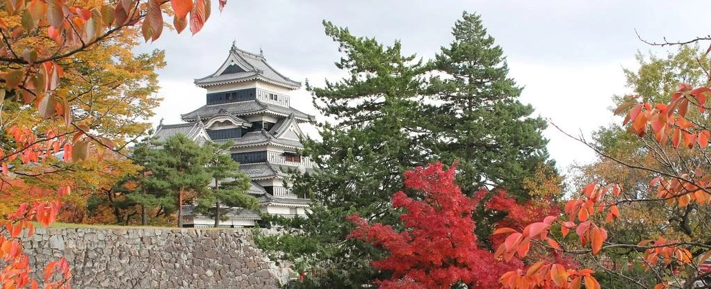 Bayahibe desde Salta