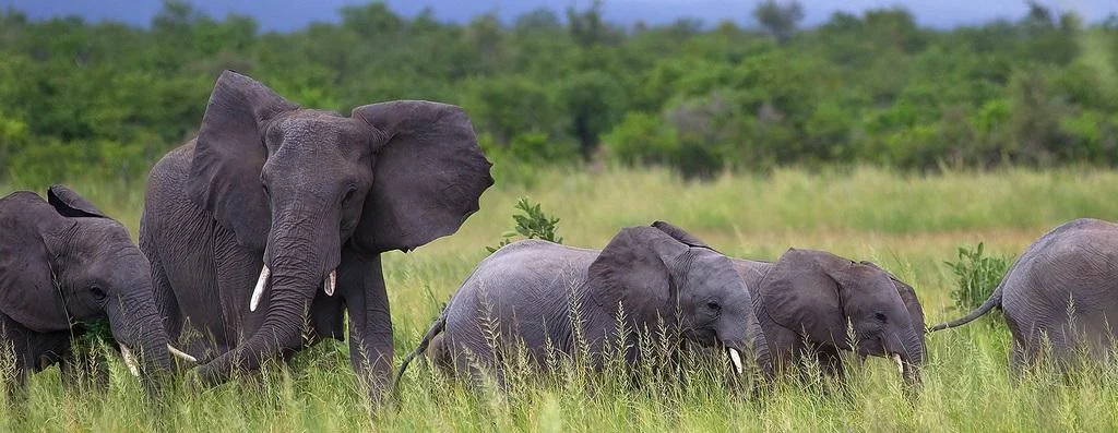 Solas y Solos a Club Med Trancoso